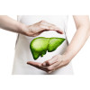 Ultimate Liver Support, cu frunze de anghinare BIO, Life Care®